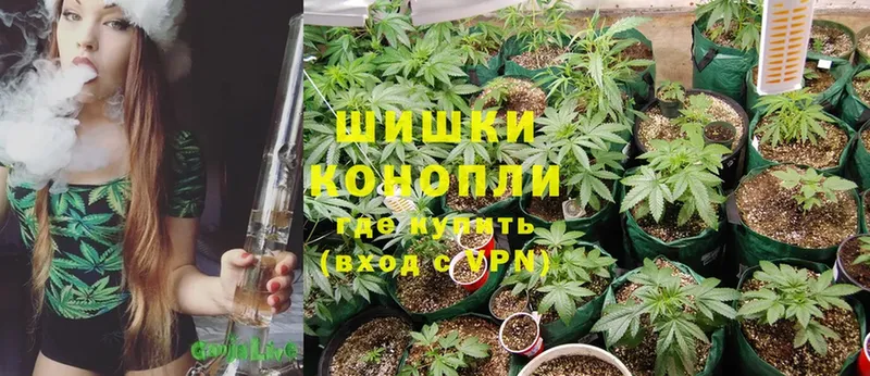 Бошки Шишки Ganja  ОМГ ОМГ зеркало  Кингисепп 